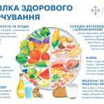 Тарілка здорового харчування Тарілка здорового харчування