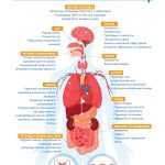 Що відбувається з організмом, коли ви курите